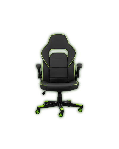 2E Gaming Hebi Black/Green Oyun kreslosu